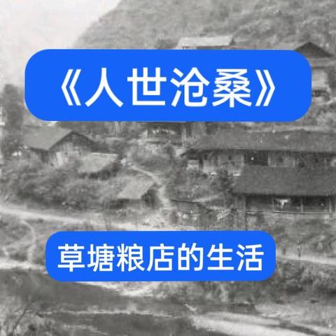 《人世沧桑》之草塘粮店的生活