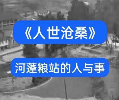 《人世沧桑》河蓬粮站的人与事