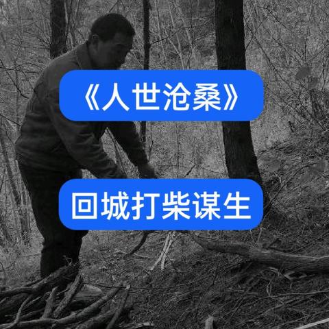 《人世沧桑》之回城打柴谋生