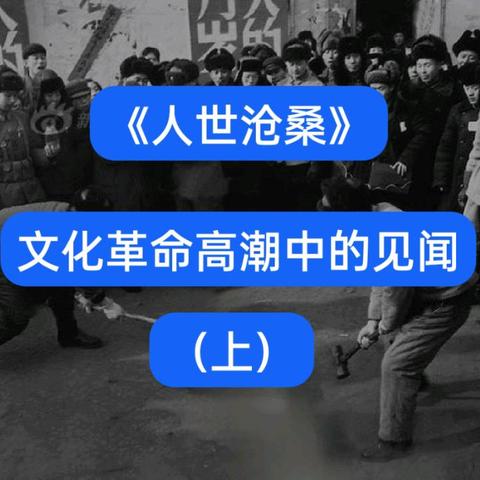《人世沧桑》文化革命高潮中的见闻（上）
