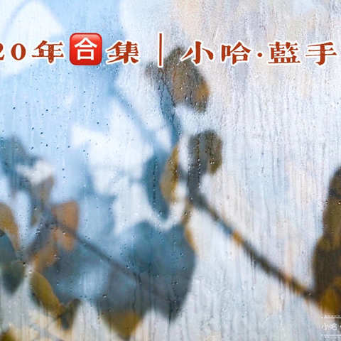 2020年合集｜小哈·蓝手作