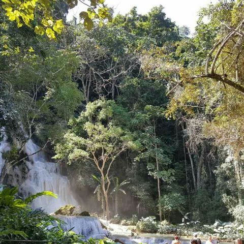 光西山瀑布、湄公河、浦西山