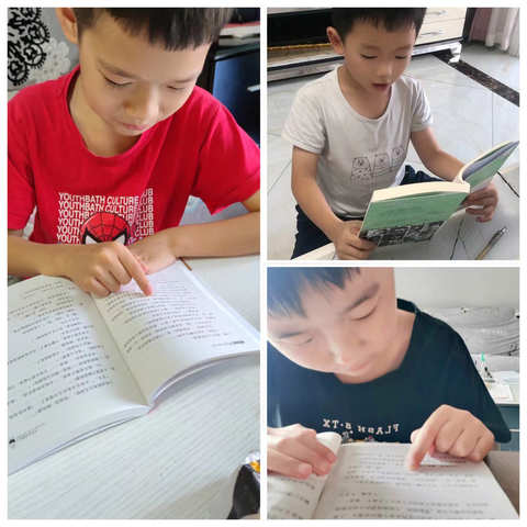 天边光景四时新，饱读诗书四季春 ——新教育小学二（3）班向日葵小组读书分享会