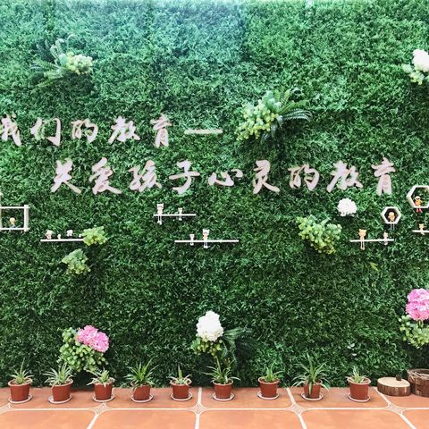 市保凤岭分院——开学季·最美的相遇（环境篇）