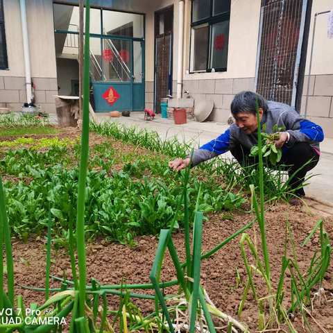 〈文学佳作联展〉霜降