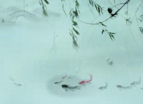 “语”你相约云教研，“文”道解惑促成长