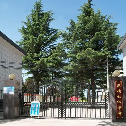 守正创新，真抓实干谋发展 踔厉奋发，破解困境开新局 --淳化县车坞初级中学2024年工作回顾