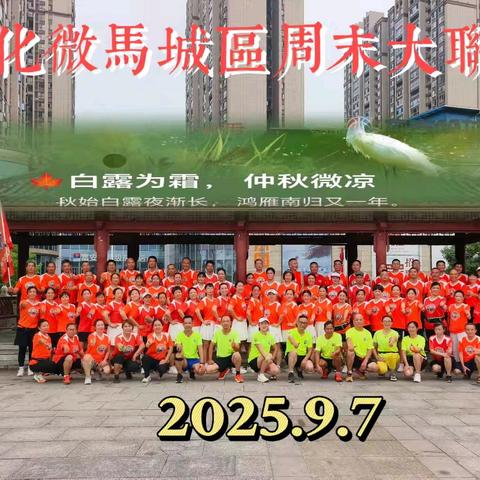 《荣耀榜》｜【2025第二十八期】全民健身，你我同行，新化微马宣传主阵地