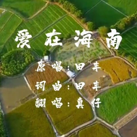 爱在海南_真仔翻唱