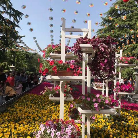 一起去看长安．花