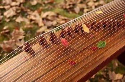 古韵悠扬，筝声萦绕——恩江小学暑期古筝兴趣班