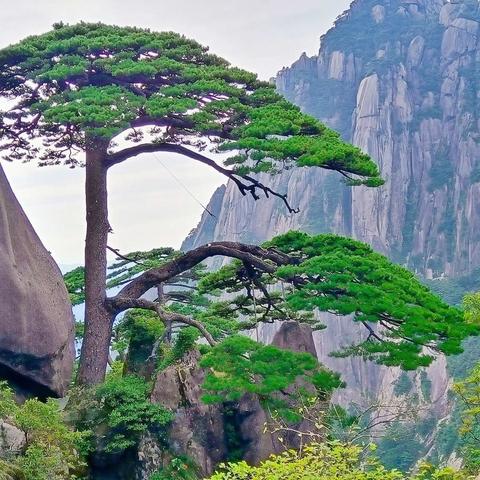 【黄山之旅】——我们三天两晚的黄山之行