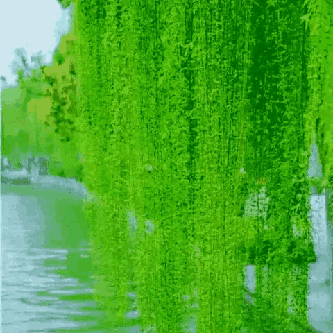 留住春天