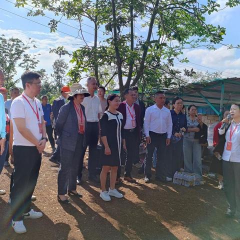 美兰区大致坡镇开展 2024 年度人大代表集中视察小组活动