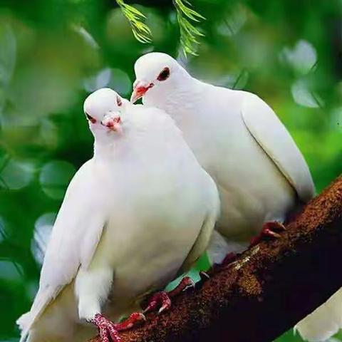 成长的足迹     岁月的印痕