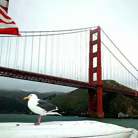 发现精彩一一2017北美行之一