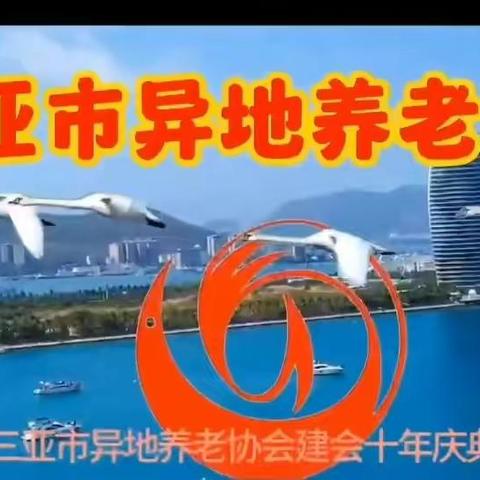 三亚市异地养老协会东岸湿地公园艺术团分会陈元泽同志先进个人事迹