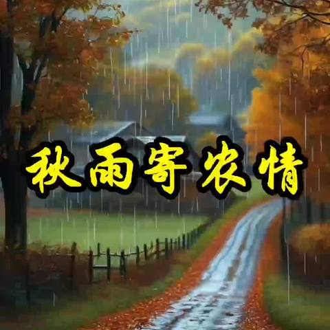 秋雨寄农情