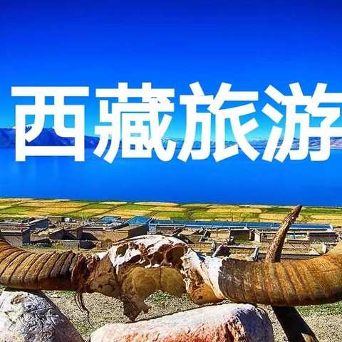 大唐旅游：2025年暑期西藏线路报价表