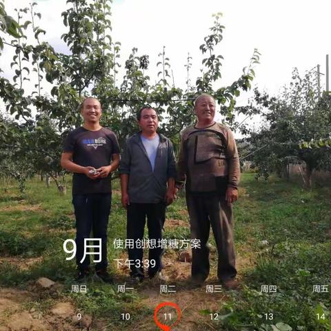 你想拥有这么甜的玉露香吗？