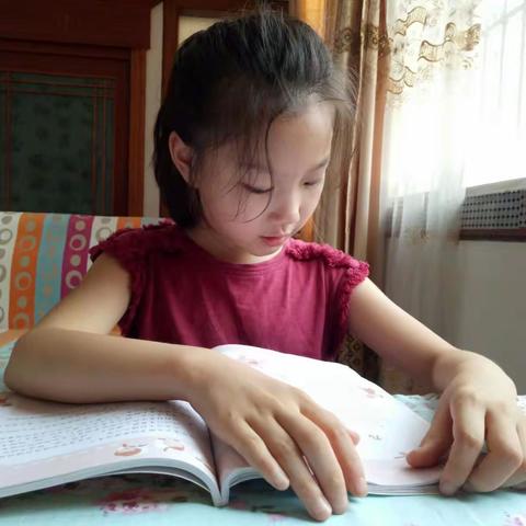 暑假小记