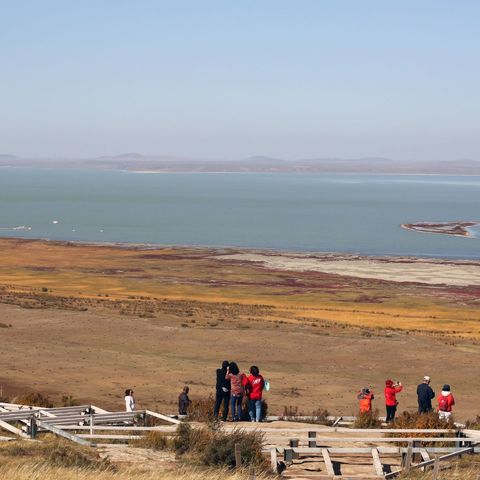 秋游达里湖、阿斯哈图石林