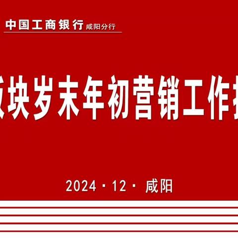 咸阳分行召开2025年个金板块 岁末年初营销工作推动会