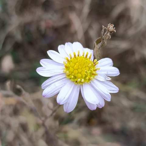 志愿服务源于心 献出爱心在于行