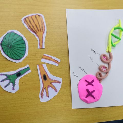 秋意愈见浓   学本研讨时———阳信县初中生物名师工作室“学本教学”专题研讨活动