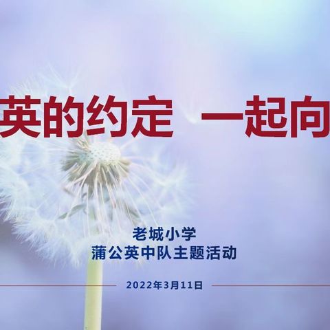 蒲公英的约定，一起向未来！ ——老城小学蒲公英中队主题队会