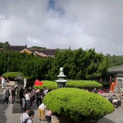 普陀山旅游之----不肯去观音院