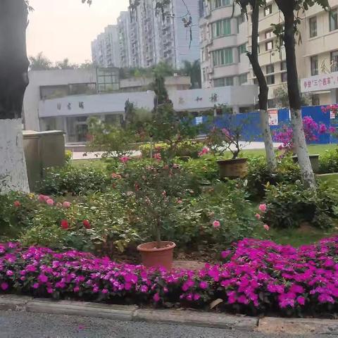 美好时光的美篇