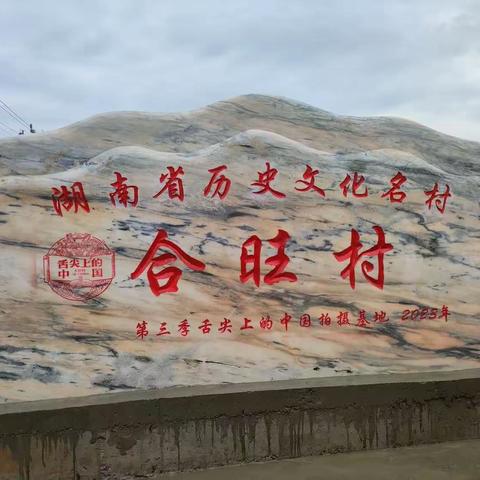 童市镇合旺村举行省级"历史文化名村"揭幕仪式暨乡村振兴座谈会。