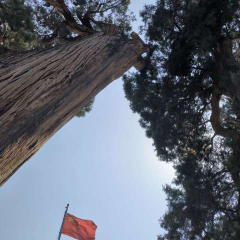 真心很贵，要留给值得人