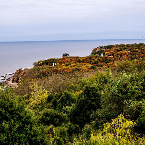 赓续红色血脉 凝聚奋进力量