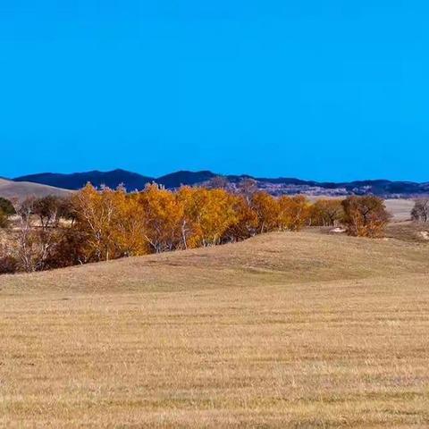 美丽的克什克腾