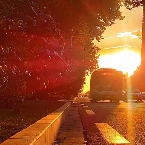 解读:“ 7+5”引领邯郸公交向着高质量、新格局前进！前进！