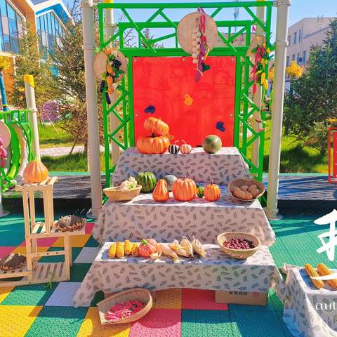 晒秋拾秋 趣享丰收——民勤县北关幼儿园中二班本土特色活动﻿