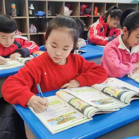 家校共育，茁壮成长 七小三四班张馨