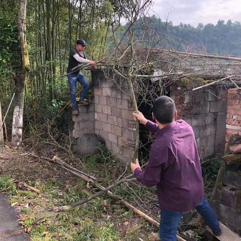 加强人居环境整治，共建欧潭美丽乡村