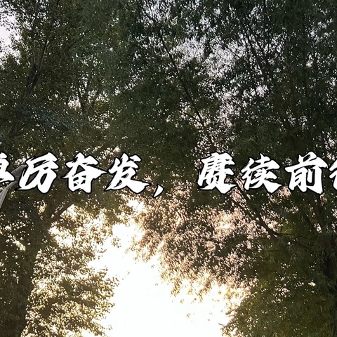 踔厉奋发，赓续前行