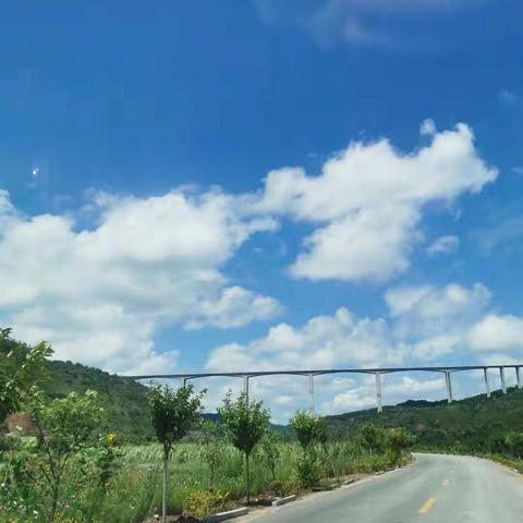 亲近自然 放飞自我