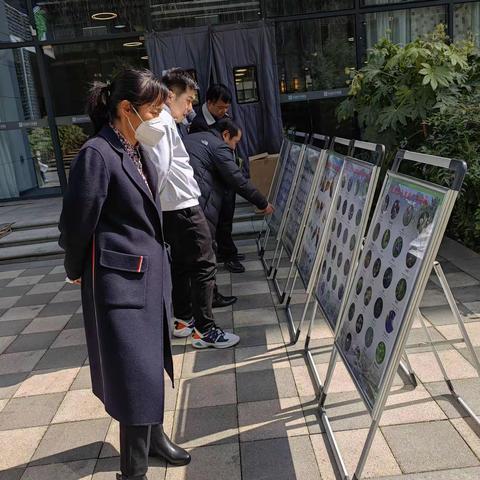 沣西新城积极开展“世界野生动植物日”宣传活动