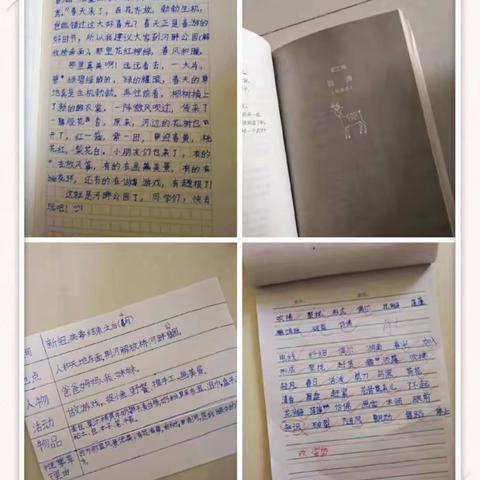 2020，不负韶华——别样假期，我们在行动（龙泉小学三年级一班）