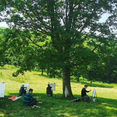 老年书画研究会开展夏日写生活动