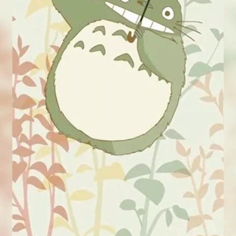  雨 的美篇