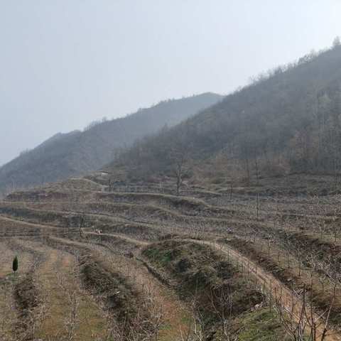 十一小长假，潭头蛮营山楂采摘园欢迎您！