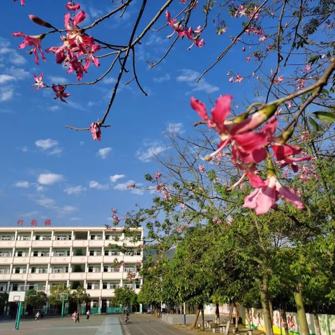 家务劳动齐参与    习惯养成伴我行——根竹镇中心小学国庆假期家务劳动实践教育活动