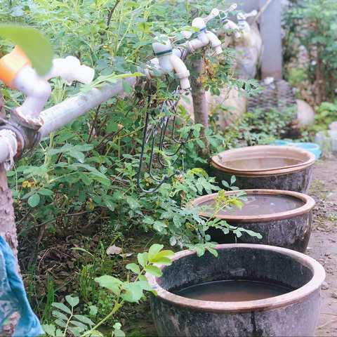 艺术课堂走进农场—让我们和大自然来一个亲亲的拥抱！