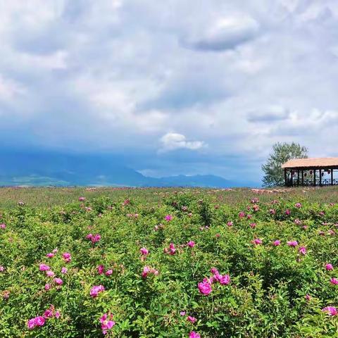 2022“世界这样美•我要去画画”写生计划